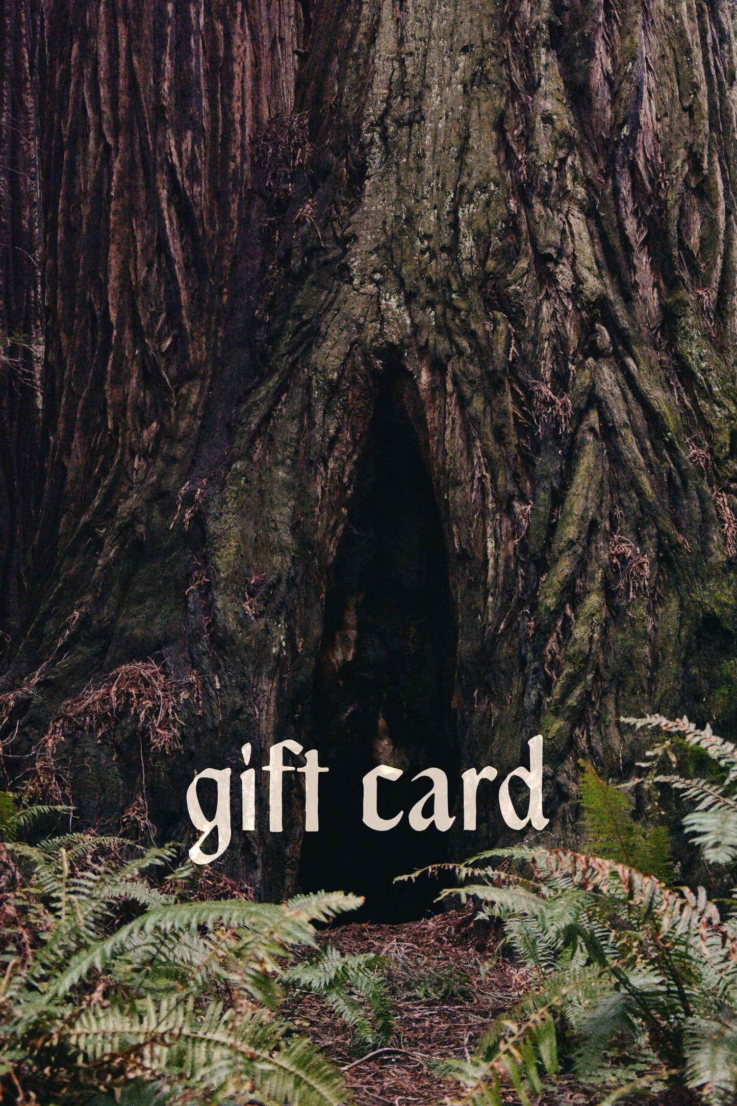 Wild Badger Gift Card